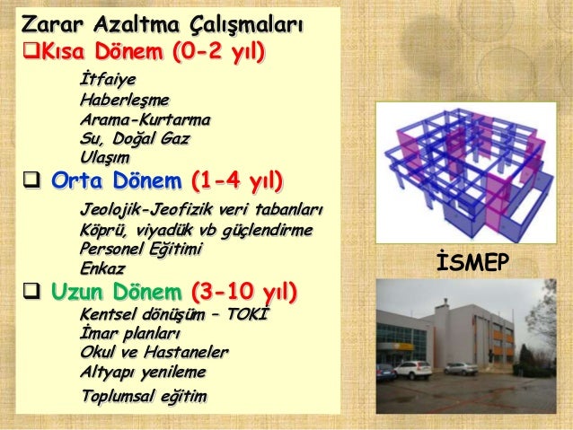 Lale dikimi. Acemi çiçekçi bilmek ne gerekiyor 47