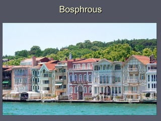 Bosphrous
 