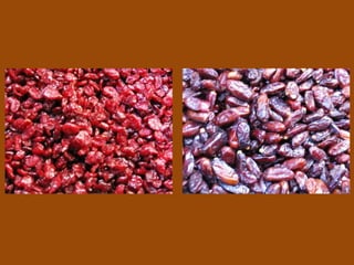 Istanbul : spices Market