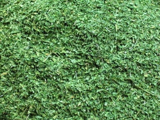 Istanbul : spices Market