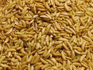 Istanbul : spices Market