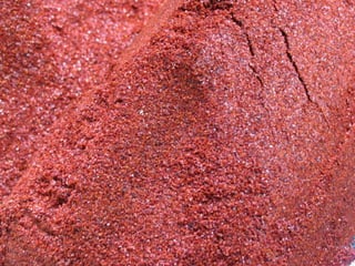 Istanbul : spices Market