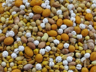 Istanbul : spices Market