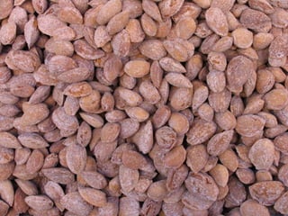 Istanbul : spices Market