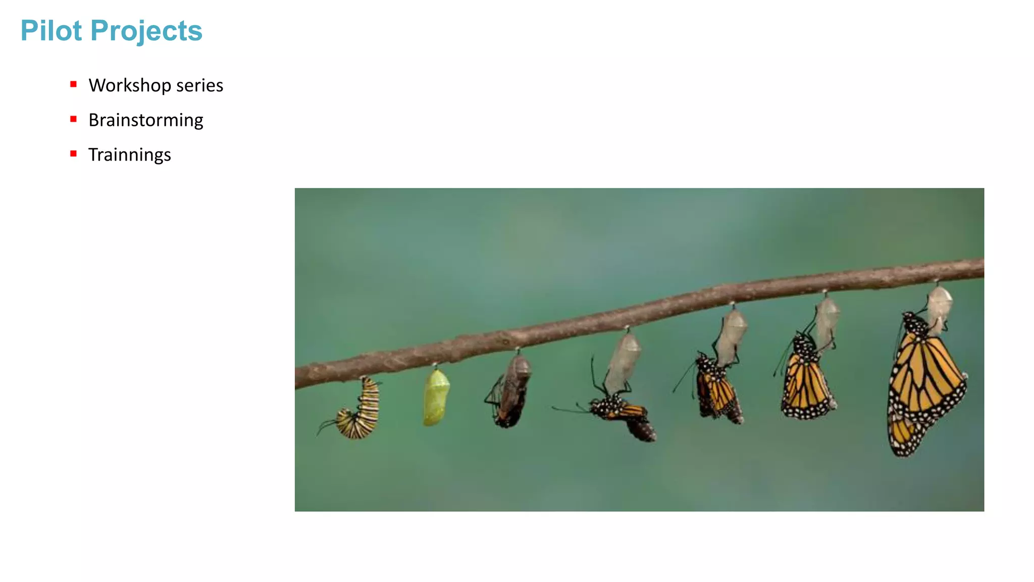 Pilot Projects
 Workshop series
 Brainstorming
 Trainnings
 