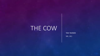 THE COW TAKI TAHMID
VIII , B-1
 