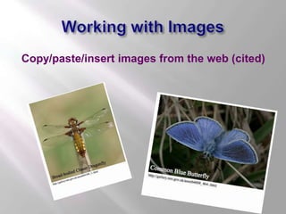 Working with Images<br />Copy/paste/insert images from the web (cited)<br />
