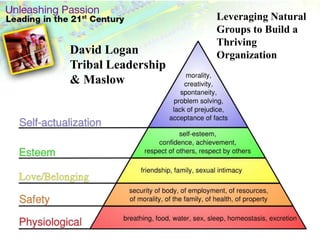 Leveraging Natural Groups to Build a Thriving OrganizationDavid LoganTribal Leadership& Maslow