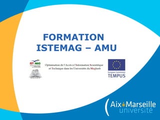 FORMATION
ISTEMAG – AMU
 