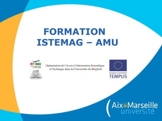 FORMATION
ISTEMAG – AMU
 