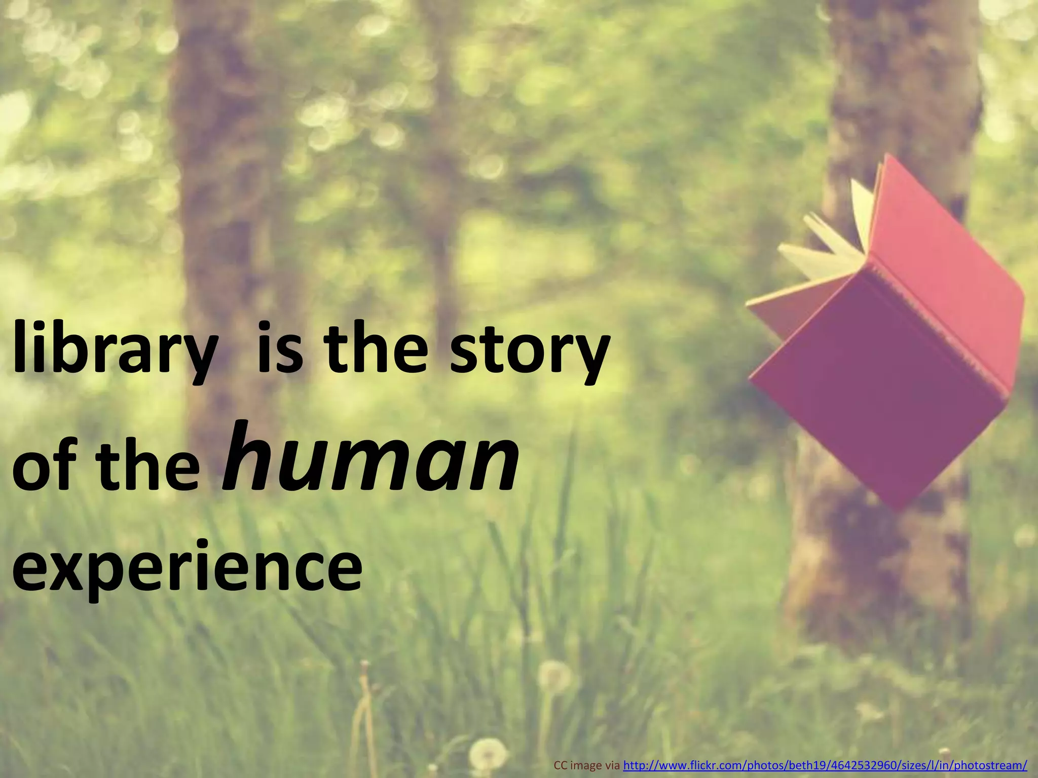 library  is the story of the human experienceCC image via http://www.flickr.com/photos/beth19/4642532960/sizes/l/in/photostream/