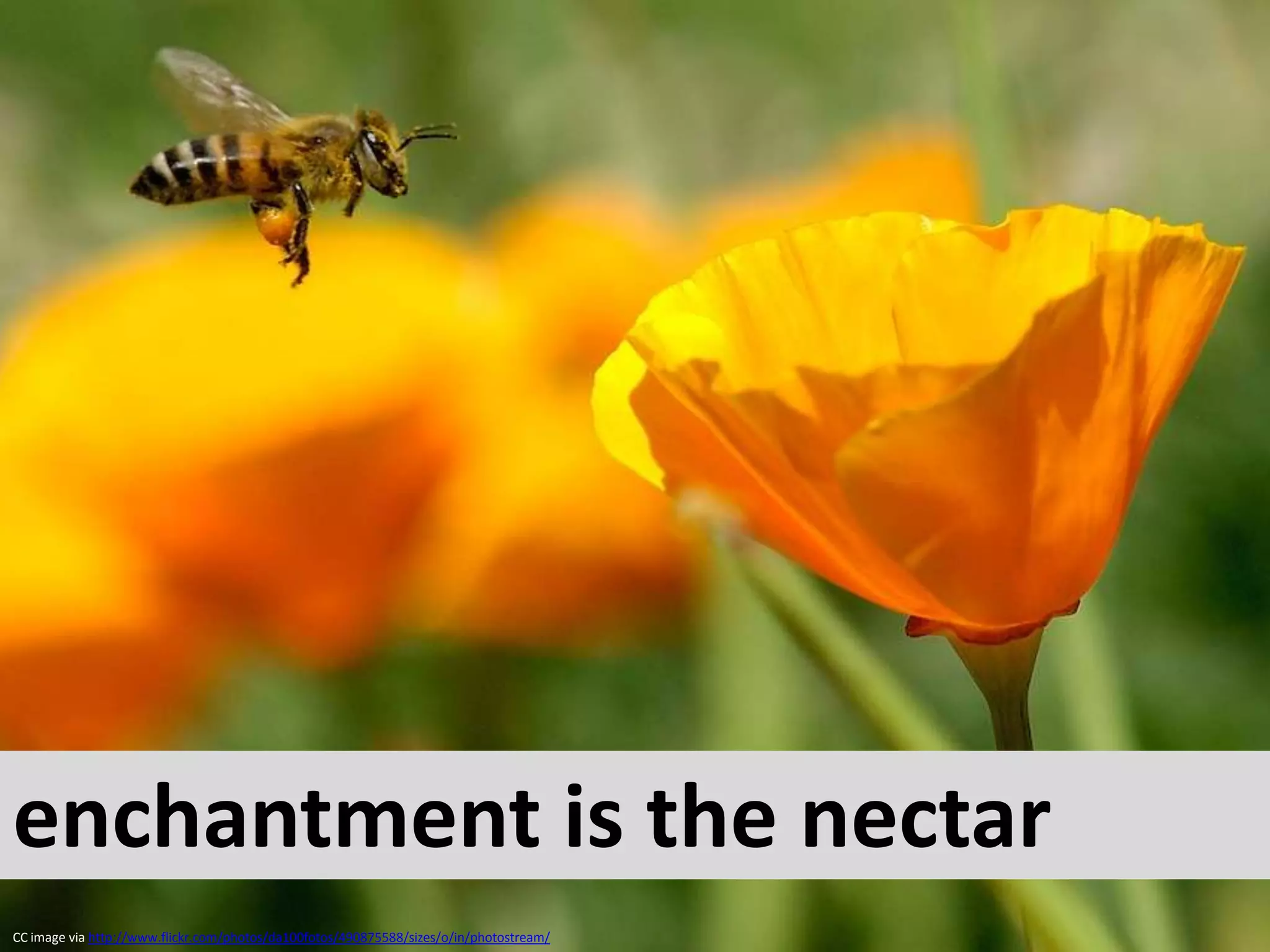 enchantment is the nectarCC image via http://www.flickr.com/photos/da100fotos/490875588/sizes/o/in/photostream/