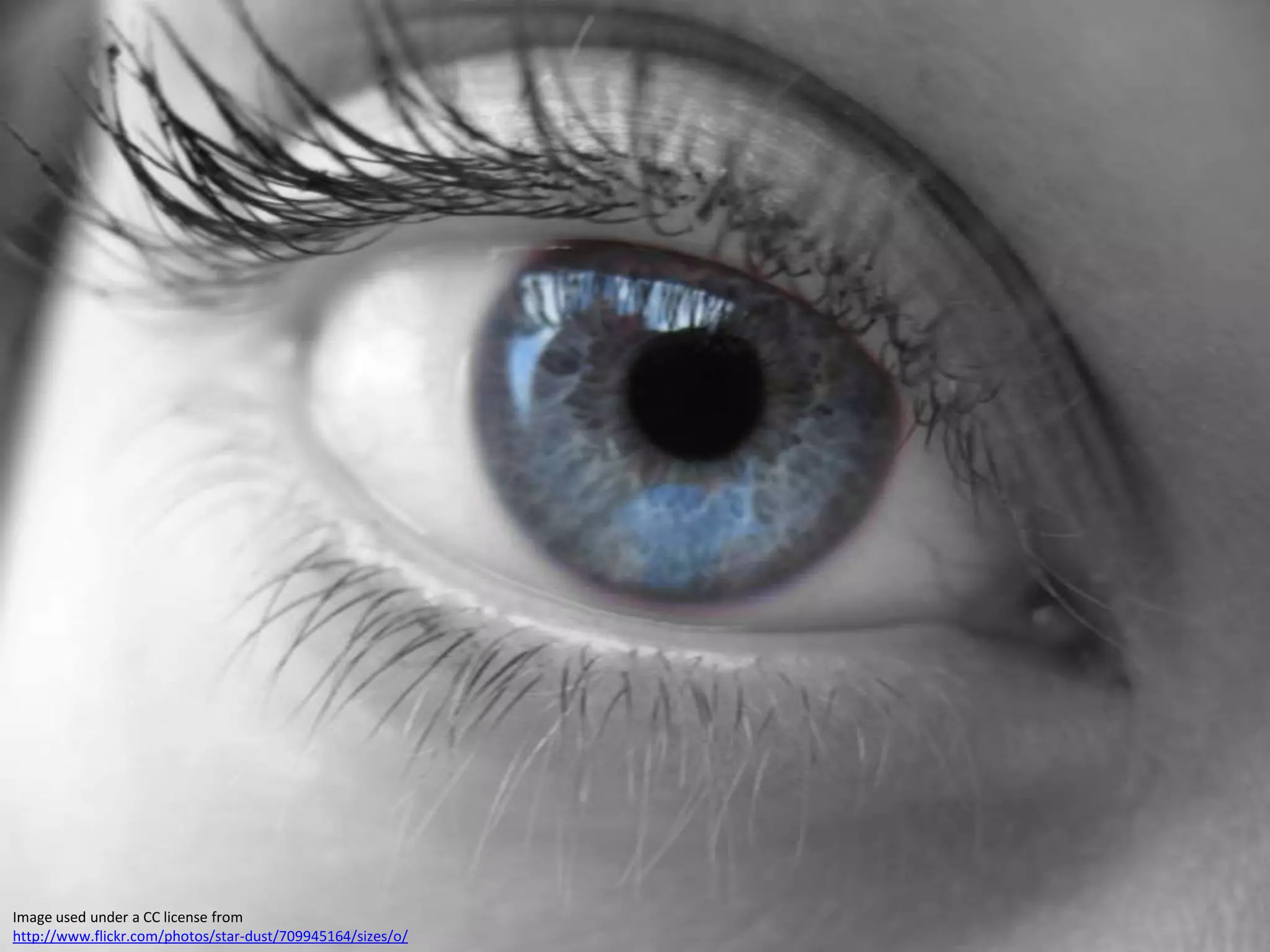 Image used under a CC license from http://www.flickr.com/photos/star-dust/709945164/sizes/o/