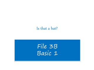 Is that a hat?
File 3B
Basic 1
 