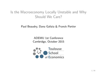 Is the Macroeconomy Locally Unstable and Why
Should We Care?
Paul Beaudry, Dana Galizia & Franck Portier
ADEMU 1st Conference
Cambridge, October 2015
1 / 94
 