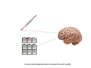 Humans are biologically wired to process the world visually
 