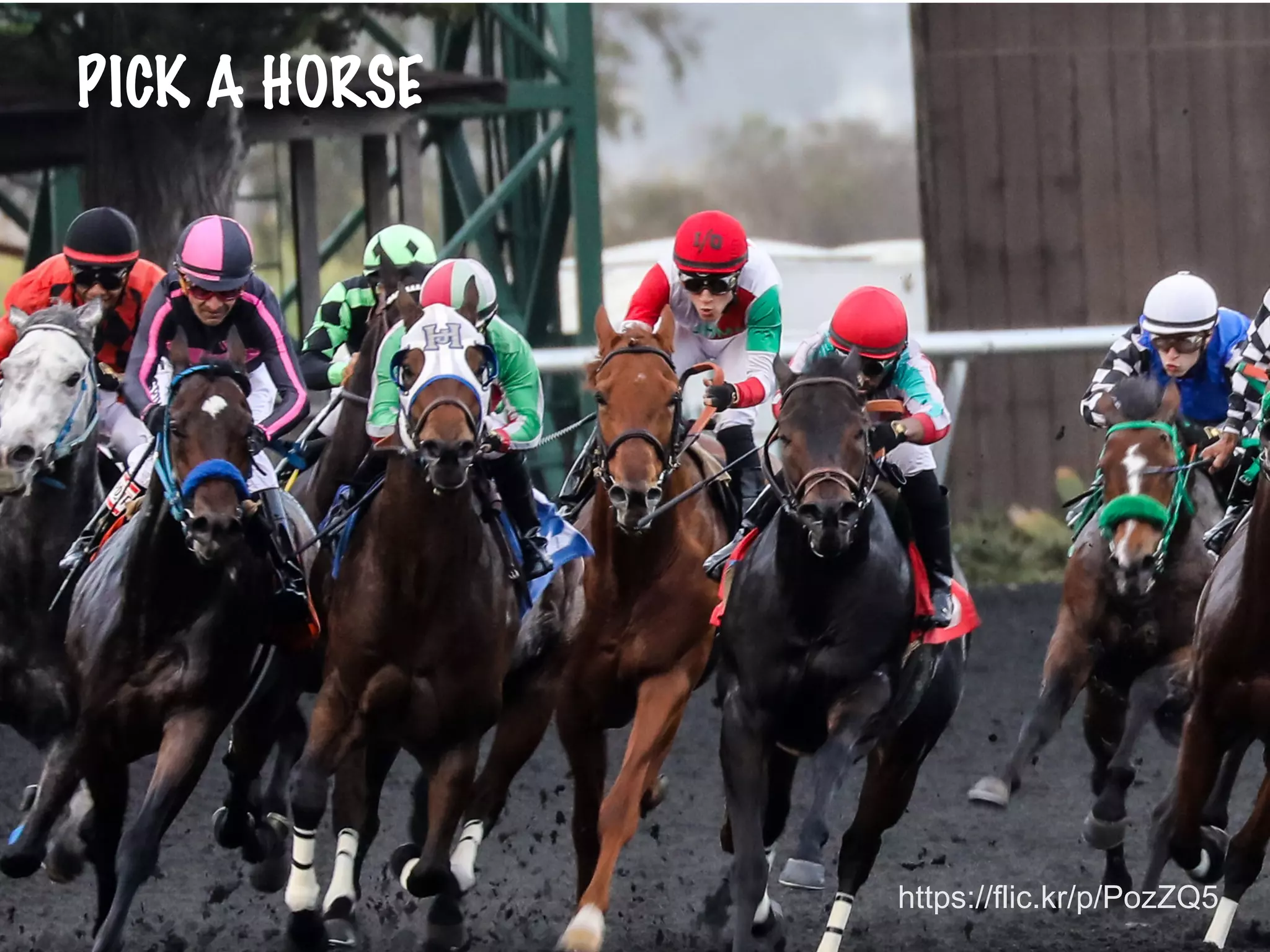 @PrettyAgile @AgileCanuck #Agile2019
PICK A HORSE
https://flic.kr/p/PozZQ5
 