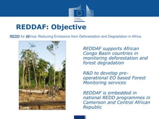 Is the REDD+ window of opportunity closing