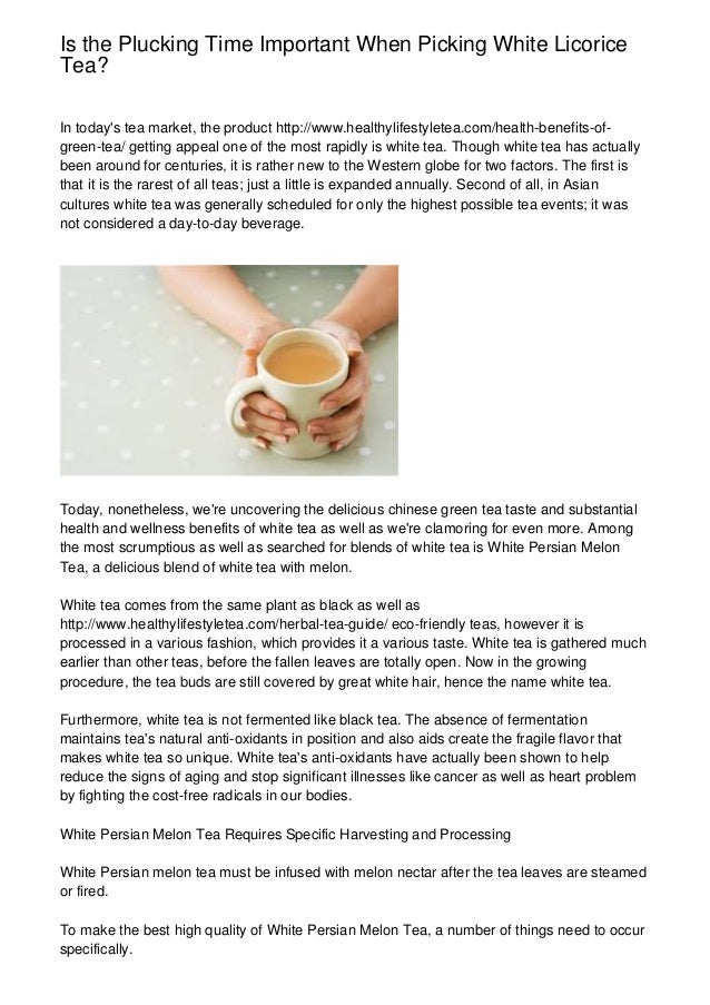 Is The Plucking Time Important When Picking White Licorice Tea