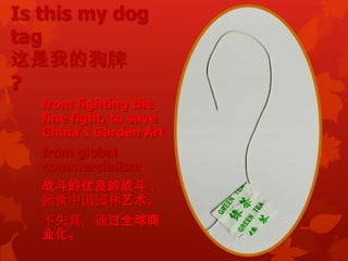 Is this my dog
tag
这是我的狗牌
?
   from fighting the
   fine fight, to save
   China’s Garden Art
   from global
   commercialism.
   战斗的优良的战斗，
   拯救中国园林艺术。
   不失真，通过全球商
   业化。
 