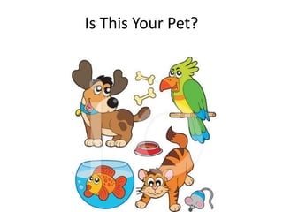 Is This Your Pet?
 