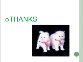 THANKS 
