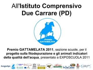 All'Istituto Comprensivo
          Due Carrare (PD)




  Premio GATTAMELATA 2011, sezione scuole, per il
 progetto sulla fitodepurazione e gli animali indicatori
della qualità dell'acqua, presentato a EXPOSCUOLA 2011
 