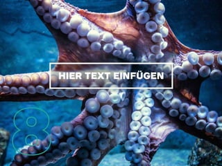 Visuelle Designtrends 2015