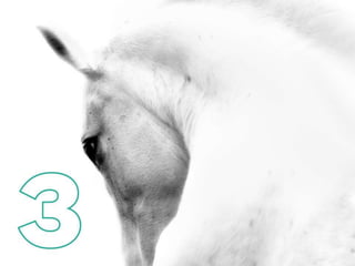 Visuelle Designtrends 2015