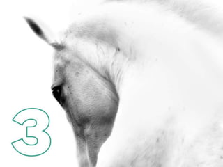 Tendências de Design Visual para 2015