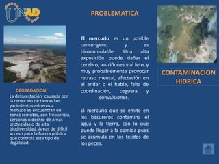 PROBLEMATICA
El mercurio es un posible
cancerígeno y es
bioacumulable. Una alta
exposición puede dañar el
cerebro, los riñones y al feto, y
muy probablemente provocar
retraso mental, afectación en
el andar o el habla, falta de
coordinación, ceguera y
convulsiones.
El mercurio que se emite en
los basureros contamina el
agua y la tierra, con lo que
puede llegar a la comida pues
se acumula en los tejidos de
los peces.
DEGRADACION
La deforestación causada por
la remoción de tierras Los
yacimientos mineros a
menudo se encuentran en
zonas remotas, con frecuencia,
cercanas o dentro de áreas
protegidas o de alta
biodiversidad. Áreas de difícil
acceso para la fuerza pública
que controla este tipo de
ilegalidad
CONTAMINACION
HIDRICA
 
