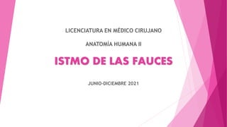 ISTMO DE LAS FAUCES
JUNIO-DICIEMBRE 2021
LICENCIATURA EN MÉDICO CIRUJANO
ANATOMÍA HUMANA II
 