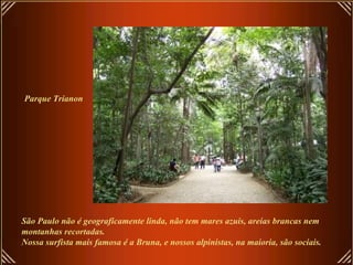 Parque Trianon




São Paulo não é geograficamente linda, não tem mares azuis, areias brancas nem
montanhas recortadas.
Nossa surfista mais famosa é a Bruna, e nossos alpinistas, na maioria, são sociais.
 