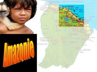 Amazonie 