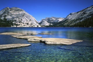 Must-visit national parks in California