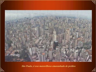 São Paulo, é esse maravilhoso emaranhado de prédios 