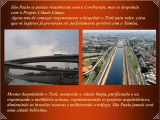 São Paulo se poluiu visualmente com a CowParade, mas se despoluiu com o Projeto Cidade Limpa. Agora tem de começar urgentemente a despoluir o Tietê para valer, coisa que os ingleses já provaram ser perfeitamente possível com o Tâmisa. Mesmo despoluindo o Tietê, mantendo a cidade limpa, purificando o ar, organizando o mobiliário urbano, regulamentando os projetos arquitetônicos, diminuindo as invasões sonoras e melhorando o tráfego, São Paulo jamais será uma cidade belíssima. 
