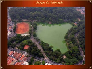 Parque da Aclimação 