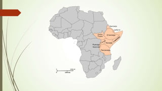 ISTOČNA AFRIKA .pptx