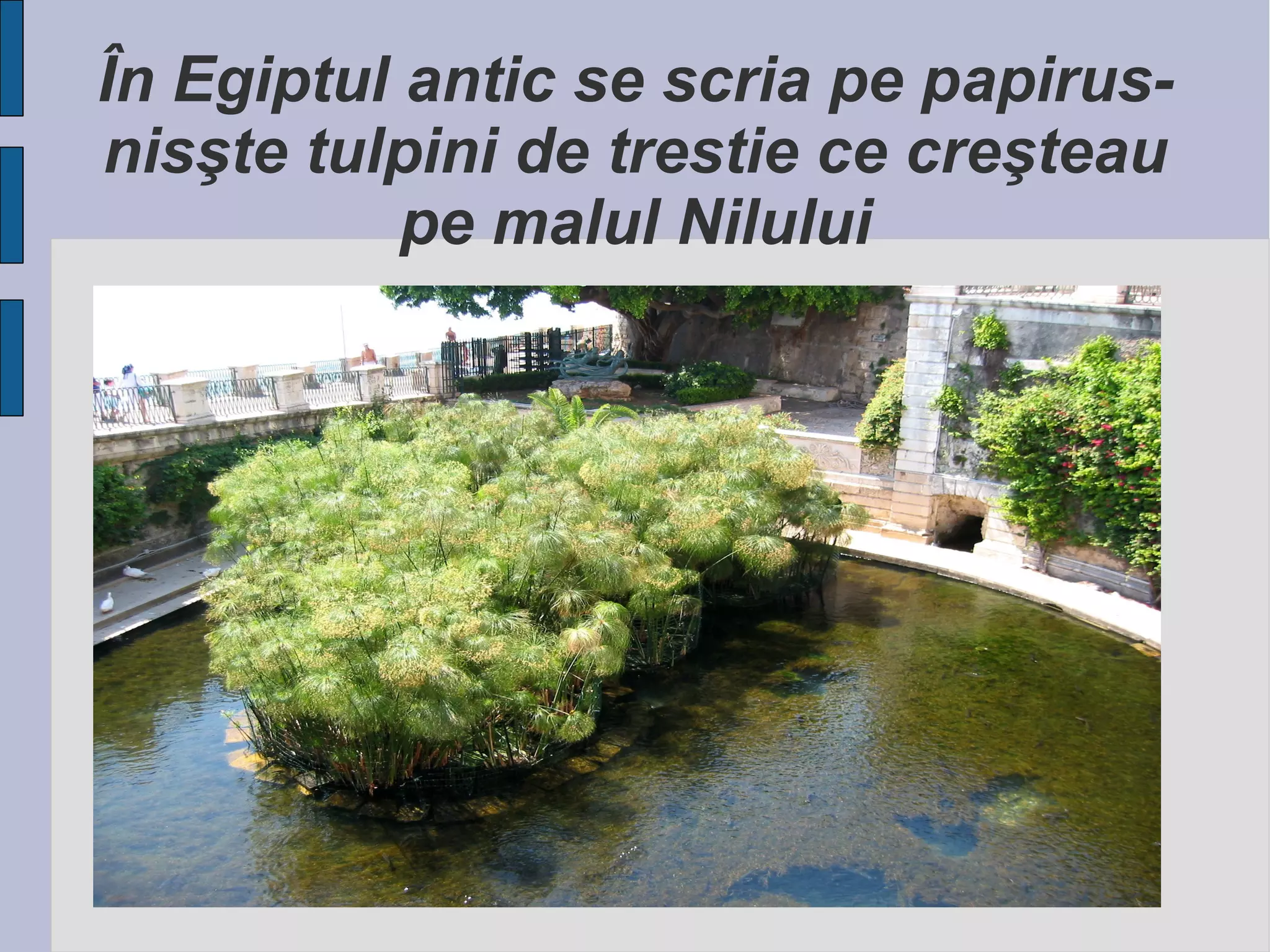 În Egiptul antic se scria pe papirusnisşte tulpini de trestie ce creşteau
pe malul Nilului

 
