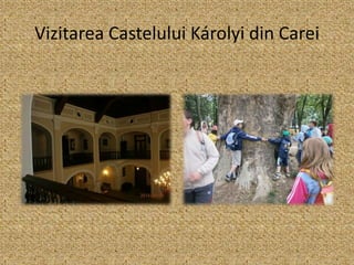 Vizitarea Castelului Károlyi din Carei
 