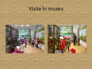 Vizite în muzeu
 