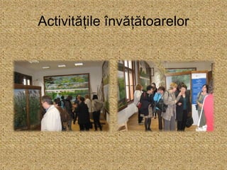 Activitățile învățătoarelor
 