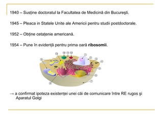1940 – Susţine doctoratul la Facultatea de Medicină din Bucureşti. 1945 – Pleaca in Statele Unite ale Americii pentru studii postdoctorale. 1952 – Obţine cetaţenie americană. 1954 – Pune în evidenţă pentru prima oară  ribosomii .  ->  a confirmat ipoteza existenţei unei căi de comunicare între RE rugos şi Aparatul Golgi  