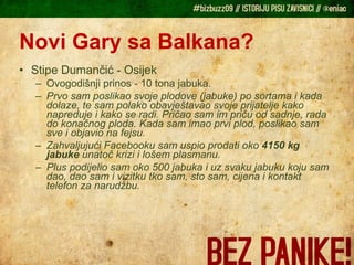 Novi Gary sa Balkana? Stipe Dumančić - Osijek Ovogodišnji prinos - 10 tona jabuka. Prvo sam poslikao svoje plodove (jabuke) po sortama i kada dolaze, te sam polako obavještavao svoje prijatelje kako napreduje i kako se radi. Pričao sam im priču od sadnje, rada do konačnog ploda. Kada sam imao prvi plod, poslikao sam sve i objavio na fejsu. Zahvaljujući Facebooku sam uspio prodati oko  4150 kg jabuke  unatoč krizi i lošem plasmanu. Plus podijelio sam oko 500 jabuka i uz svaku jabuku koju sam dao, dao sam i vizitku tko sam, sto sam, cijena i kontakt telefon za narudžbu. 