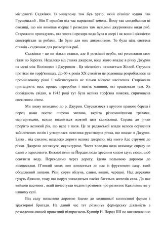 місцевості Саджівки. В минулому там був хутір, який пізніше купив пан
Грушецькнй . Він її придбав під час парцеляції земель. Йому так сподобалися ці
околиці, що він викопав озерце І розводив там невідомі джуринянам види риб.
Старожили пригадують, яка чиста і прозора вода була в озері і як вони і цікавістю
спостерігали за рибами. Це було для них диковинкою. То була ціла система
ставків - саджанок для розведення риб.
Саджівки - це не тільки ставки, але й розкішні верби, які розложили своє
гілля по берегах. Недалеко від ставка джерело, вода якого впадас в річку Джурин
на межі між Полівцями і Джурином . Ця місцевість називається Жолоб. Струмок
протікає по торф'янищах. До 60-х років XX століття це родовище розроблялося на
промисловому рівні І забезпечувало не тільки місцеве населення. Старожили
пригадують весь процес переробки і навіть машини, які працювали там. Як
оповідають свідки, в 1942 році тут була велика торф'яна пожежа, спричинена
спекотним літом.
Ми знову виходимо до р. Джурин. Спускаємося з крутого правого берега і
перед нами постає широка заплава, вкрита різноманітними травами,
маргаритками, всюди видніється жовтий цвіт калюжниці. Справа до річки
прорито великий рів, що веде з поля. Це за радянської влади велося осушення
заболочених полів і утворилася невелика рукотворна річка, що впадає в Джурин.
Зліва , під схилом, недалеко дороги велике джерело, від нього йде струмок до
річки. Джерело доглянуте, окультурене. Чиста холодна вода втамовує спрагу не
одного перехожого. Кожної зими на Йордан люди хресним ходом ідуть сюди, щоб
освятити воду. Переходимо через дорогу, ідемо польовою дорогою до
лісопосадки. П’янкий запах лип доноситься до нас із фруктового саду, який
обсаджений липами. Різні сорти яблунь, сливи, вишні, черешні. Над деревами
гудуть бджоли, тому що поруч знаходиться пасіка багатьох жителів села. До нас
вийшов пасічник , який почастував медом і розповів про розвиток бджільництва у
нашому селі.
Від саду польовою дорогою йдемо до колишньої колгоспної ферми і
тракторної бригади. На даний час тут розвинув фермерську діяльність з
розведення свиней приватний підприємець Кушнір Н. Поряд ПП по виготовленню
 
