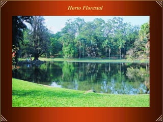 Horto Florestal 