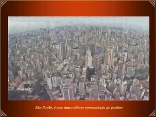 São Paulo, é esse maravilhoso emaranhado de prédios 