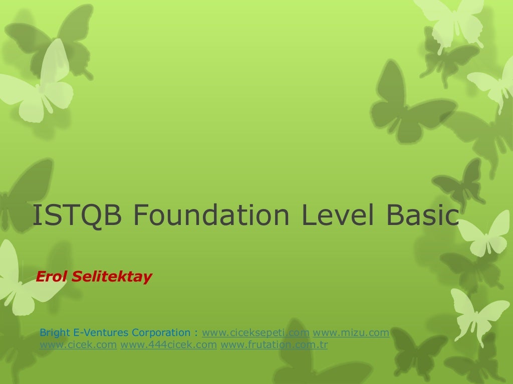 ISTQB Foundation Level Basic