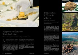 Sua Maestà, 	
il Tartufo
d’Istria
L’ apice della gastronomia 	
istriana, un tesoro nascosto dagli
aromi inebrianti…

L

e “re della gastronomia istriana’’. È un
tubero dal profumo intenso, caratteristico,

dalla forma particolare e non proprio piacevole

Njegovo veličanstvo
Tartuf od Istre

alla vista, ma assaggiandolo ci offre un’indescrivibile esperienza gastronomica. Apprezzato sin
dall’epoca dei Romani, ha raggiunto in questi
ultimi anni l’apice del suo successo in cucina,
ispirando moltissime creazioni gastronomiche.

Vrhunac istarske gastronomije, skriveno blago zavodljivih aroma...

N

o chiamano ‘’afrodisiaco’’, ‘’oro istriano’’

Perfetto come antipasto, nelle insalate, si sposa
ottimamente con i secondi piatti e addirittura con
il dolce. Non stupitevi perciò se vi viene servito

azivaju ga afrodizijakom, istarskim

Svaki tartuf koji kušate rezultat je savršenog spoja

un gelato o una torta al tartufo.

zlatom i kraljem istarske gastronomi-

prirode, čovjeka i njegovog najboljeg prijatelja.

Ogni tartufo che assaporerete è il risultato di

je. Taj gomolj, snažna karakteristična

Skrivenog ispod zemlje u gustim šumama doline

una perfetta unione tra natura, uomo e il suo

mirisa i naoko neugledan, predstavlja vrhunski

rijeke Mirne, pronalaze ga tartufari uz pomoć,

fedele amico: nascosto nel sottosuolo dei folti

gastronomski doživljaj. Znali su u njemu uživati

za to obučenih, pasa izvrsna njuha. Prava je to

boschi della valle del fiume Quieto, viene sco-

još u doba rimske vladavine, a proteklih godina

radost okusa, mirisa i tradicije.

perto dai tartufai grazie al fiuto perfetto di cani

cjenjeniji je no ikad! Izvor je i inspiracija brojnih

U Istri je pronađen i najveći bijeli tartuf na svijetu,

ben addestrati. È un’autentica festa di sapore,

gurmanskih ostvarenja, savršeno se uklapa u

težak 1,3 kilograma, upisan potom u Guinnessovu

profumo e tradizione.

predjela, salate, glavna jela, pa čak i deserte.

knjigu rekorda!

Ed è proprio dell’Istria il primato del tartufo bian-

Stoga se nemojte iznenaditi bude li Vam ponuđen,

co più grande del mondo: pesa 1,3 chilogrammi,

primjerice, sladoled ili torta od tartufa.

ed è stato trovato nei pressi di Buie d’Istria!

24

ISTRA GOURMET 2013

www.istra.com

www.istra.com

ISTRA GOURMET 2013

25

 